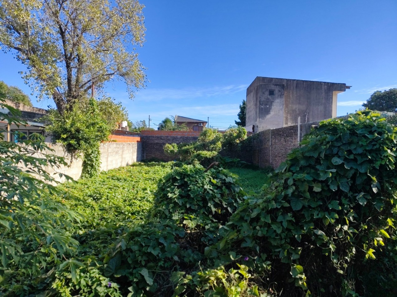 VENTA DE LOTE DE 444 M² CON CASA A REFACCIONAR Y LOCAL AL FRENTE