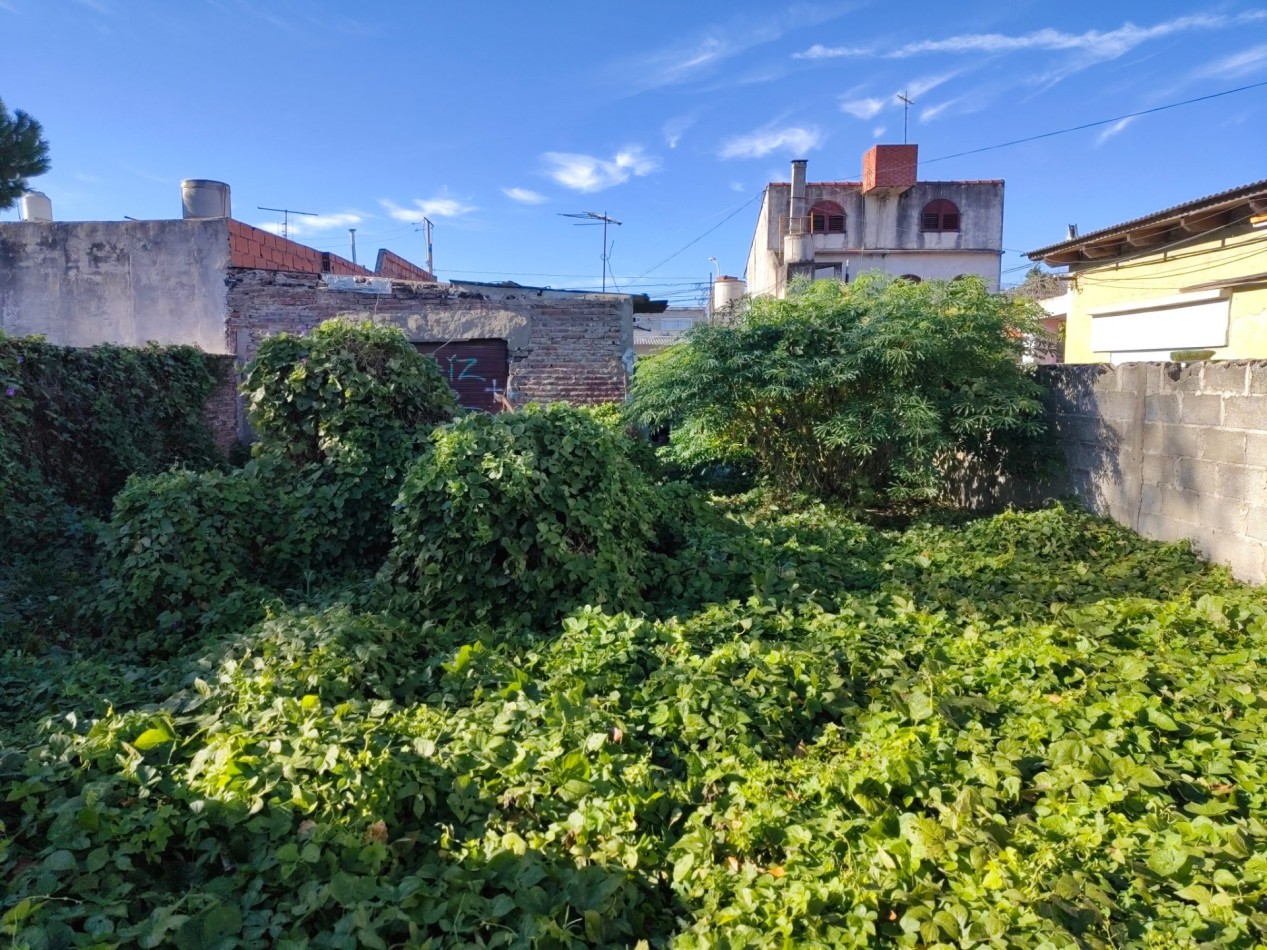 VENTA DE LOTE DE 444 M² CON CASA A REFACCIONAR Y LOCAL AL FRENTE